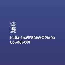 საქართველოს ახალგაზრდული სააგენტო